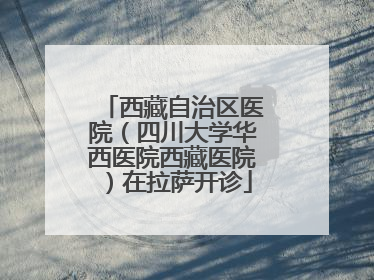 西藏自治区医院（四川大学华西医院西藏医院）在拉萨开诊