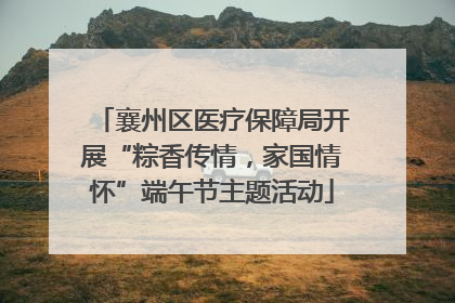 襄州区医疗保障局开展“粽香传情，家国情怀”端午节主题活动