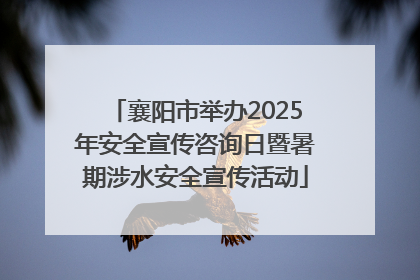 襄阳市举办2025年安全宣传咨询日暨暑期涉水安全宣传活动