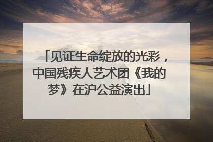 见证生命绽放的光彩，中国残疾人艺术团《我的梦》在沪公益演出