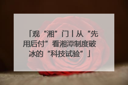 观“湘”门丨从“先用后付”看湘潭制度破冰的“科技试验”