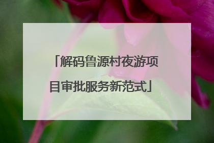 解码鲁源村夜游项目审批服务新范式