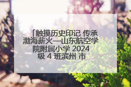 触摸历史印记 传承渤海薪火—山东航空学院附属小学 2024 级 4 班滨州 市档案馆研学实践活动
