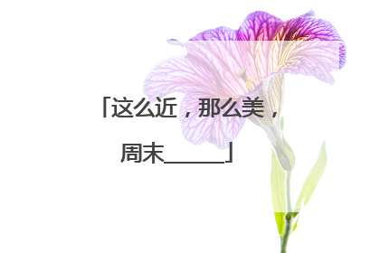 这么近，那么美，周末______