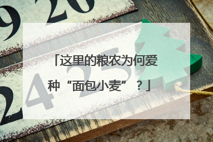 这里的粮农为何爱种“面包小麦”？