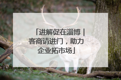 进解促在淄博｜客商请进门，助力企业拓市场