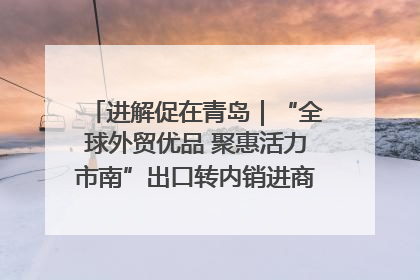 进解促在青岛｜“全球外贸优品 聚惠活力市南”出口转内销进商超专场活动启动