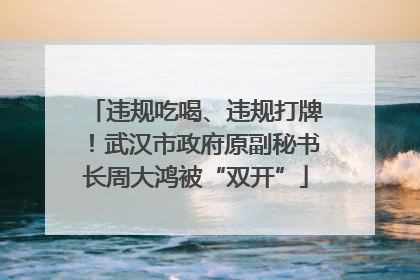 违规吃喝、违规打牌！武汉市政府原副秘书长周大鸿被“双开”