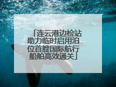 连云港边检站助力临时启用泊位首艘国际航行船舶高效通关