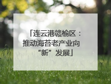 连云港赣榆区：推动海苔老产业向“新”发展