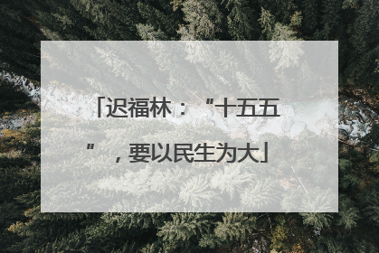 迟福林：“十五五”，要以民生为大