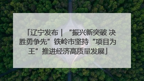辽宁发布｜“振兴新突破 决胜勇争先”铁岭市坚持“项目为王”推进经济高质量发展