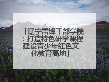辽宁雷锋干部学院：打造特色研学课程 建设青少年红色文化教育高地