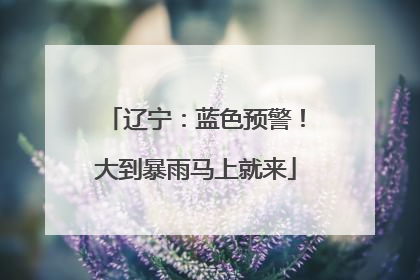辽宁：蓝色预警！大到暴雨马上就来
