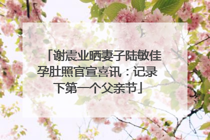 谢震业晒妻子陆敏佳孕肚照官宣喜讯：记录下第一个父亲节