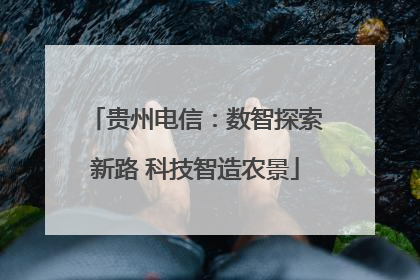 贵州电信：数智探索新路 科技智造农景