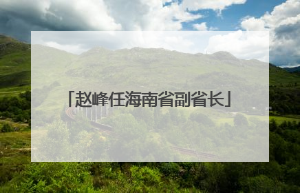 赵峰任海南省副省长