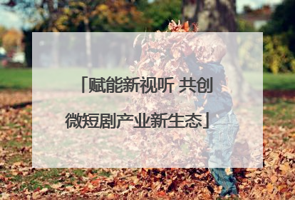 赋能新视听 共创微短剧产业新生态
