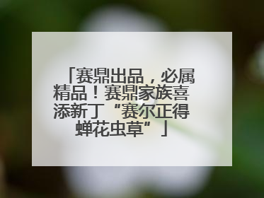 赛鼎出品，必属精品！赛鼎家族喜添新丁“赛尔正得蝉花虫草”