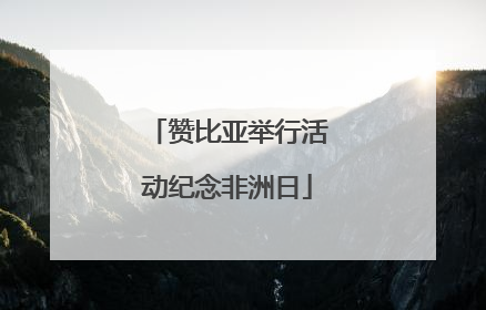 赞比亚举行活动纪念非洲日