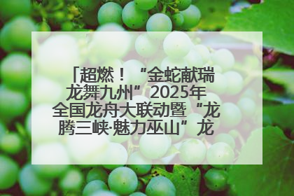 超燃！“金蛇献瑞 龙舞九州”2025年全国龙舟大联动暨“龙腾三峡·魅力巫山”龙舟邀请赛圆满落幕！