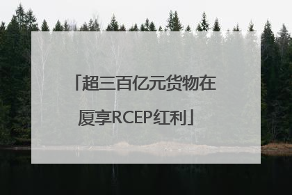 超三百亿元货物在厦享RCEP红利