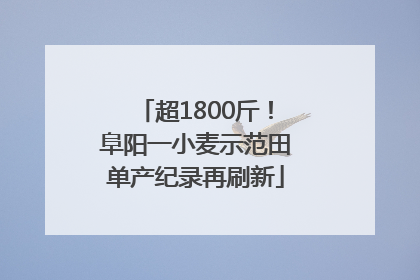 超1800斤！阜阳一小麦示范田单产纪录再刷新