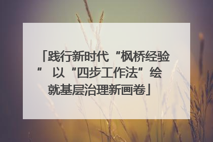 践行新时代“枫桥经验” 以“四步工作法”绘就基层治理新画卷