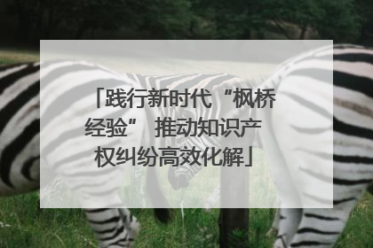 践行新时代“枫桥经验” 推动知识产权纠纷高效化解