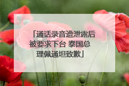 通话录音遭泄露后被要求下台 泰国总理佩通坦致歉