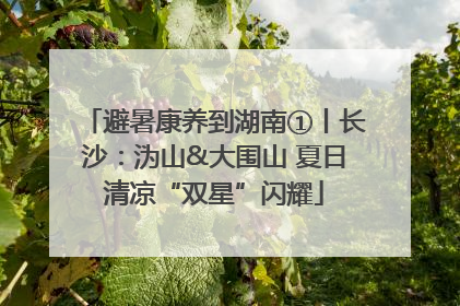 避暑康养到湖南①丨长沙：沩山&大围山 夏日清凉“双星”闪耀
