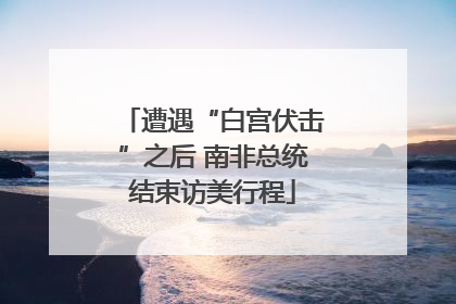 遭遇“白宫伏击”之后 南非总统结束访美行程