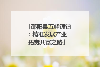 邵阳县五峰铺镇：精准发展产业 拓宽共富之路