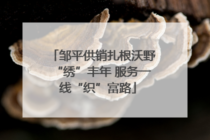 邹平供销扎根沃野“绣”丰年 服务一线“织”富路