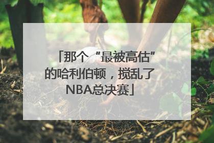 那个“最被高估”的哈利伯顿，搅乱了NBA总决赛