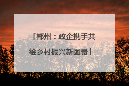郴州：政企携手共绘乡村振兴新图景