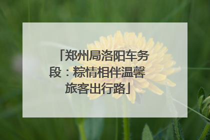 郑州局洛阳车务段：粽情相伴温馨旅客出行路