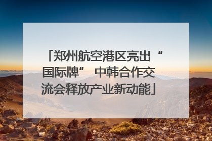 郑州航空港区亮出“国际牌” 中韩合作交流会释放产业新动能
