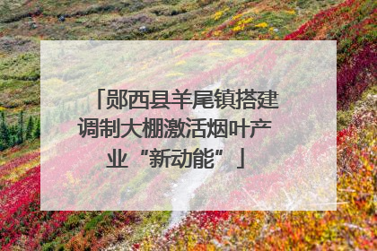 郧西县羊尾镇搭建调制大棚激活烟叶产业“新动能”
