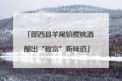 郧西县羊尾镇樱桃酒酿出“致富”新味道