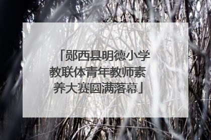 郧西县明德小学教联体青年教师素养大赛圆满落幕