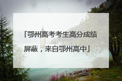 鄂州高考考生高分成绩屏蔽，来自鄂州高中