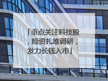重点关注科技股，险资扎堆调研，发力长钱入市