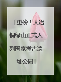 重磅！大冶铜绿山正式入列国家考古遗址公园