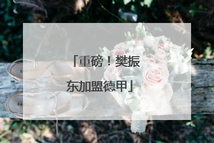 重磅！樊振东加盟德甲