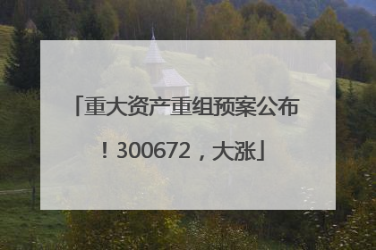 重大资产重组预案公布！300672，大涨