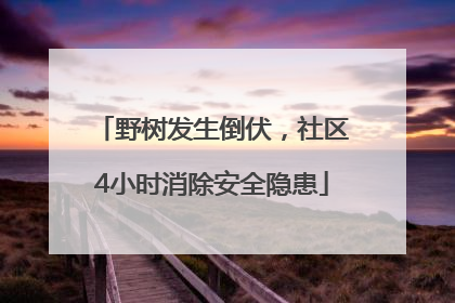 野树发生倒伏，社区4小时消除安全隐患