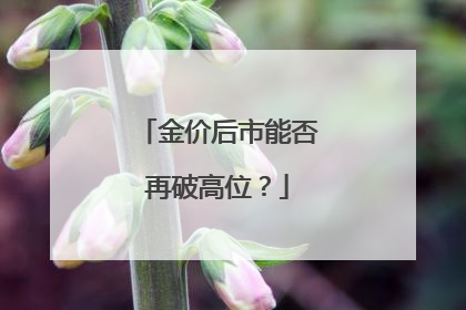 金价后市能否再破高位？