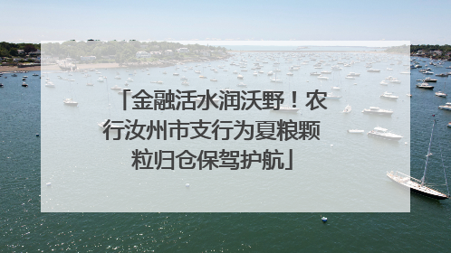 金融活水润沃野！农行汝州市支行为夏粮颗粒归仓保驾护航