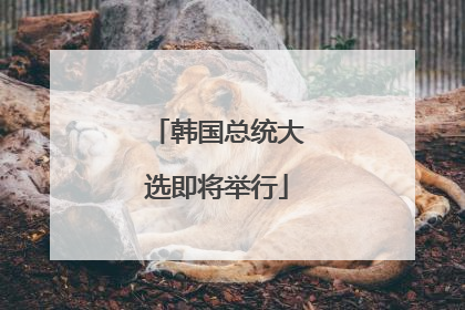 韩国总统大选即将举行